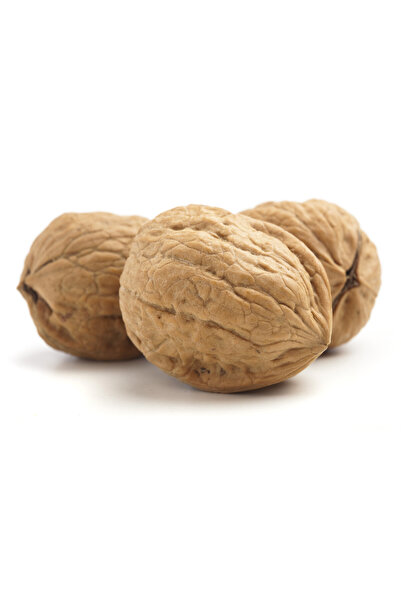 Yağlı Burdur Cevizi 1 Kg Aşırı Lezzetli
