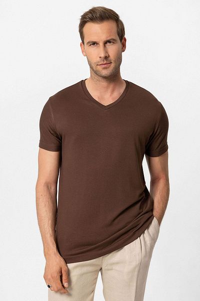 Antioch Brown Basic V-Neck Men's T-Shirt