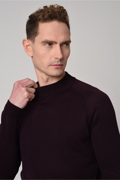 Antioch Dark Plum Crew Neck Slim Fit Knitwear Sweater