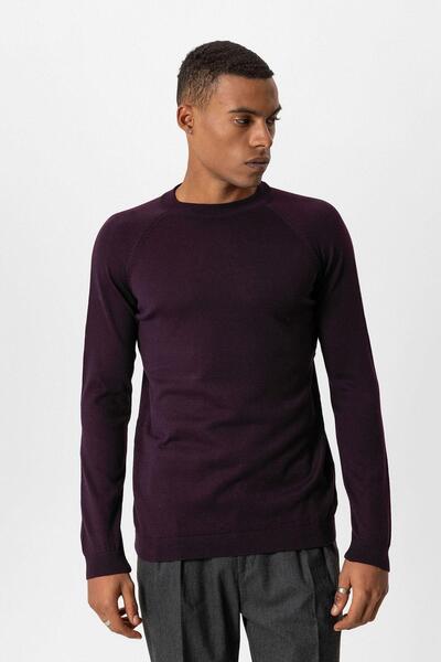Antioch Mürdüm Bisiklet Yaka Slim Fit Triko Kazak