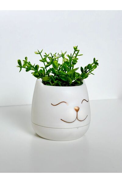 HomeFuture Yapay Çiçek Kedi Demet Okaliptus Çiçeği Papatya Yılbaşı Ağaç Sevgi...