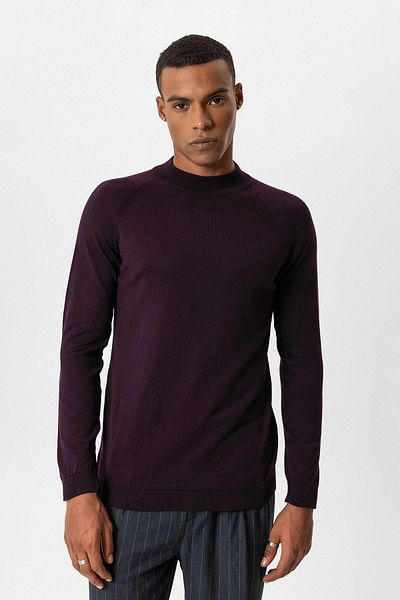 Antioch Dark Plum Half-Necked Men's Knitwear