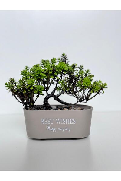 HomeFuture Yapay Ağaç Çiçek Demet Okaliptus Çiçeği Papatya Yılbaşı Ağaç Sevgi...