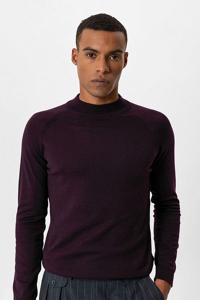Antioch Dark Plum Half-Necked Men's Knitwear