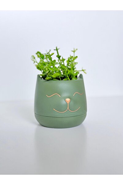 HomeFuture Yapay Çiçek Kedi Demet Okaliptus Çiçeği Papatya Yılbaşı Ağaç Sevgi...