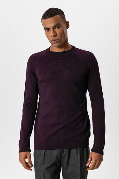 Antioch Plum Crew Neck Slim Fit Knitwear Sweater