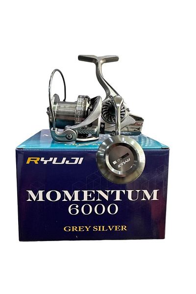 Ryuji Momentum 6000 Grey Silver 11 1Bb Surf Fishing Line Machine