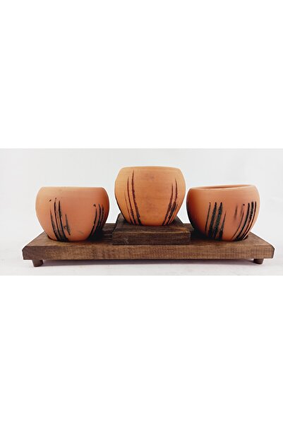 BİTKİ TASARIMI Terracota Model Çoklu SaksıNo 3