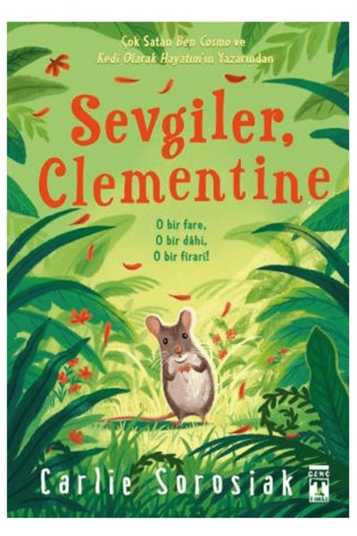 Genç Timaş Sevgiler Clementine / Carlie Sorosiak / Genç Timaş / 9786050848014