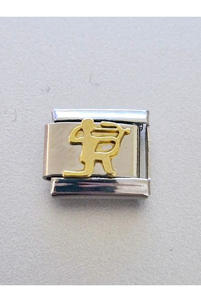 RoseCo00 Italian Steel Bracelet Charm