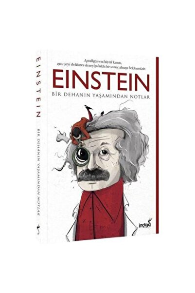 İndigo Kitap Einstein Bir Dehanın Yaşamından Notlar / / Kolektif