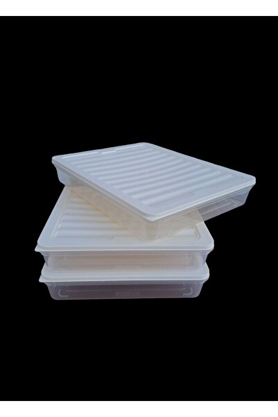 SWENCRAFT 2.4 Lt Luxury Box - Set of 3 Storage Containers, Can Enter the Microwave and Deep Freezer