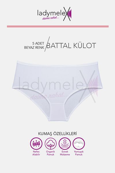LadyMelex Women's Panties, Mid High Waist Plus Size Panties (Xl-2Xl-3Xl-4Xl-5Xl-6Xl) 5 Pieces, White