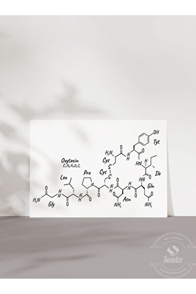 Sweetco Çerçevesiz Poster Oksitosin Symbol Elements I Oksitsin Bilim Sembolü