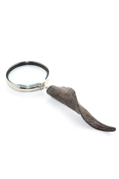 Esin life Horn Magnifier Ksk2095-(with Protected Bag)