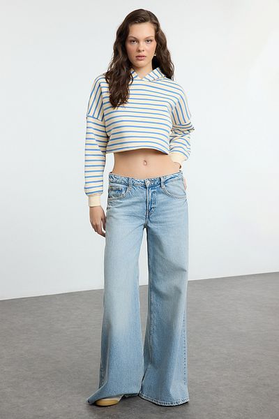 Trendyol Collection Hanorac tricotat cu glugă cu dungi albastre, cu potrivire normală/normale TWOAW25SW00289