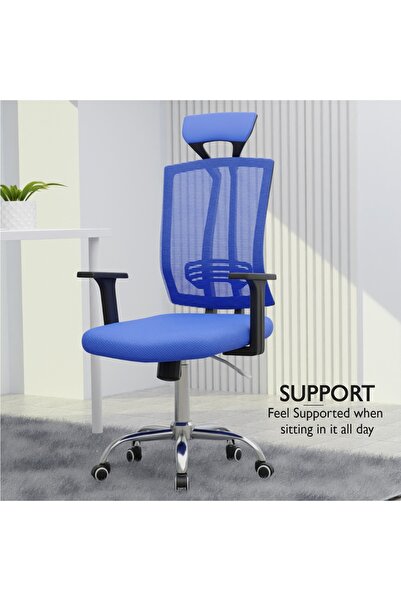 Mahmayi Ergonomic Adjustable Office Chair - Lumbar Support, Recliner, Mesh Back, Blue Executive