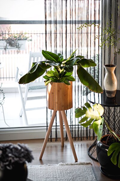 TOPRAK E-TİCARET Bambu Ahşap Ayaklı Sepet Saksılık Naturel Çok Amaçlı İç ve Dış Mekan Dekoratif Saksı