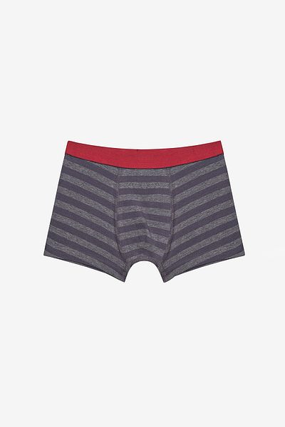 Penti Boy's Fun Fox 3-Piece Multicolored Boxers