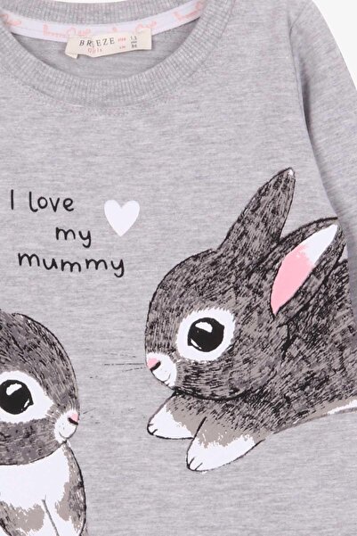 Breeze Girl Child Tunic Rabbit Pattern 1.5-5 Years, Gray Melange