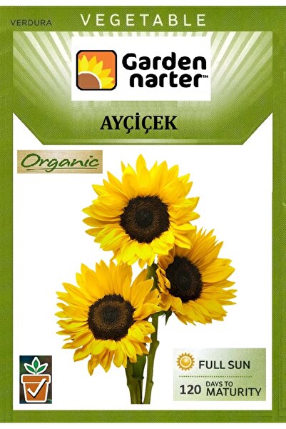 GARDEN NARTER Çerezlik Ayçiçek Tohumu Doğal Organik Günebakan Tohumu Pakette ...