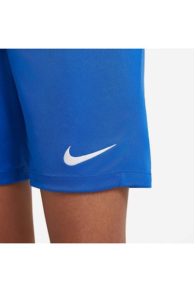 Nike Park Iii Kids Blue Shorts