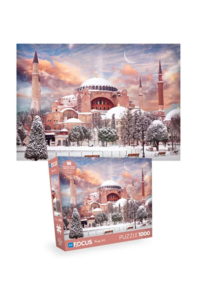 Blue Focus 2 Piece 1000 Piece Puzzle - Hagia Sophia and Hallstatt