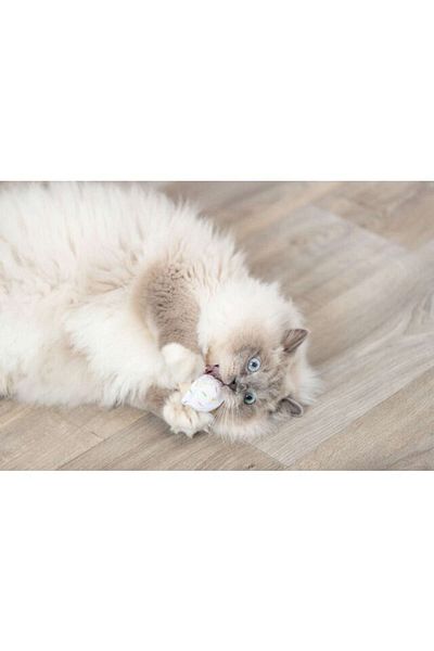 Trixie Cat Toy, Ice Cream and Cake Shaped, Plush, 7cm with Catiod Zrnet