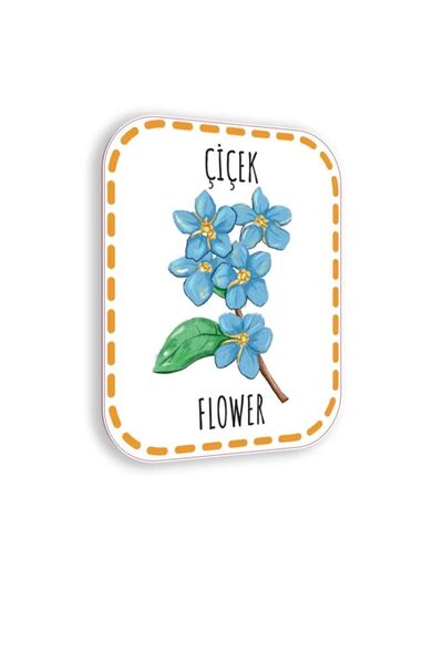 Çocuk Akademi Bebeğimin Ilk Sözcükleri ve 0-12 Ay İlk Adım Zeka Kartları