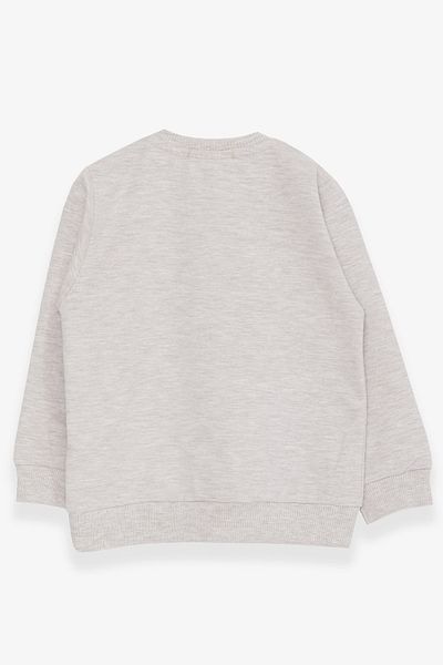 Breeze Girl's Sweatshirt Cute Girl Printed 1.5-5 Years, Beige Melange