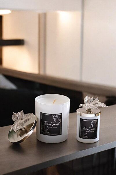 Tiem Concept Özel Tasarım Dekoratif Gümüş Yapraklı Vanilya Kokulu 2'li Beyaz ...