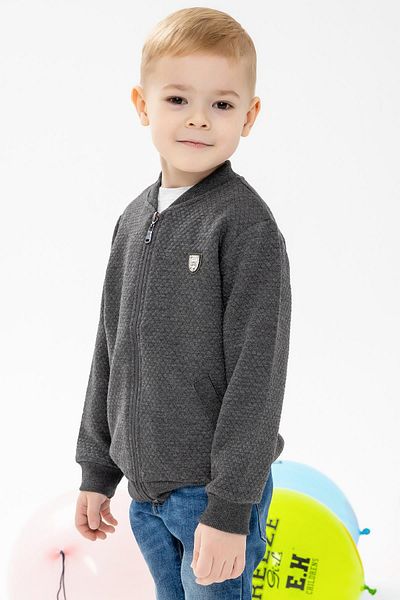 Breeze Boy's Cardigan Basic with Pockets and Emblem 2-6 Years, Smoked