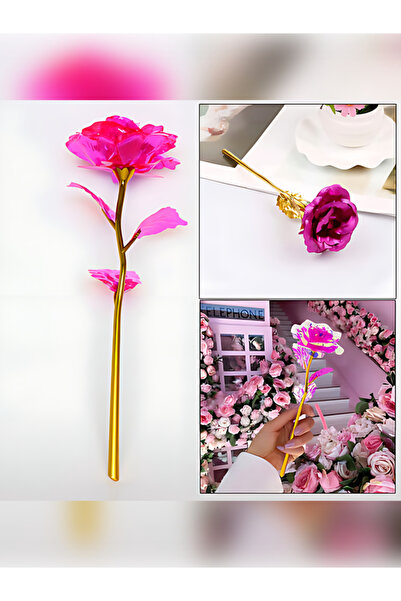 rkmstore Sonsuzluk Gülü Hediyelik Gül Ev Dekor  Sevgiliye Hediye Anneler Günü...