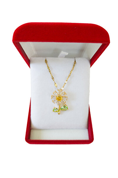 SeyCey.co فاخر في صندوق مخملي | قلادة ديزي | فولاذ 316 لتر - غير قابل للتشويه | هدية المرأة