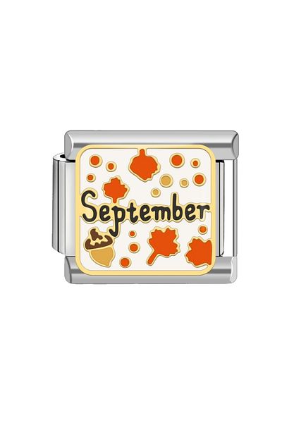 RoseCo00 Italian Steel Bracelet Charm