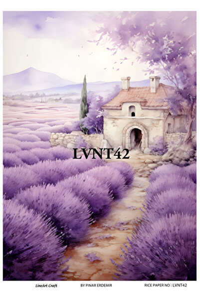 LİNEART ديكوباج نحاس من سلسلة لافندر - 29x42 سم، رقم: LVNT42