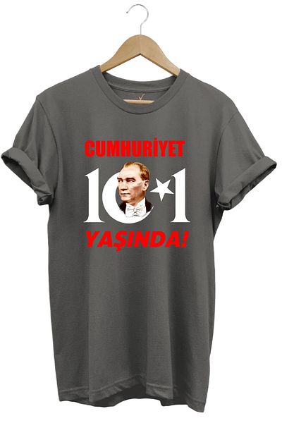 WİDİ 29 Οκτωβρίου Ημέρα της Δημοκρατίας Atatürk Moon Star Printed Republic 101 Years Old Turkey Grey T-shirt