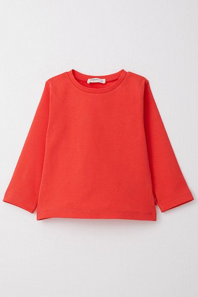 Breeze 1-4 Years Old Boy T-Shirt - Long Sleeve, Pomegranate Flower Pattern