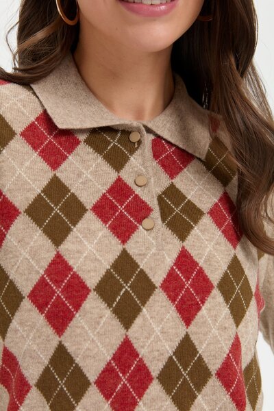 Desen Triko Beige Women's Polo Collar Wool Sweater - Baklavalı