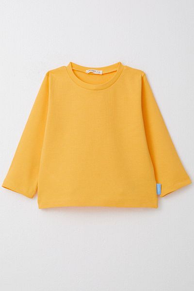 Breeze 1-4 Years Boy Yellow Long Sleeve T-Shirt