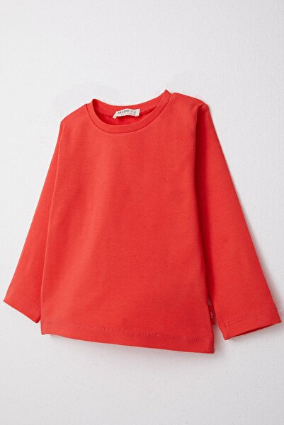 Breeze 1-4 Years Old Boy T-Shirt - Long Sleeve, Pomegranate Flower Pattern