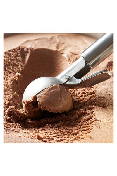 IKEA Stainless Steel Idealisk Ice Cream Spoon - Single