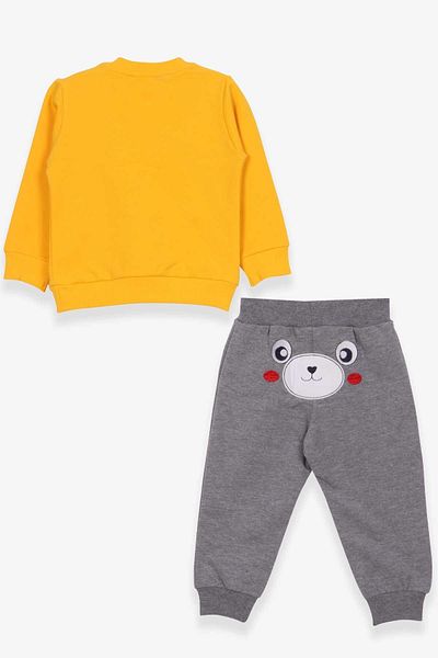 Breeze 9-3 Years Old Baby Boy Tracksuit Set - Teddy Bear and Embroidered, Yellow
