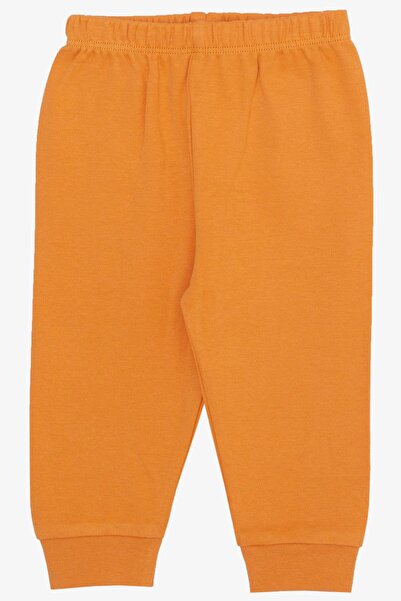 Breeze Baby Boy Bodysuit 3 Piece Set Cute Teddy Bear Embroidered Hooded 4 Months-1 Year Old, Orange