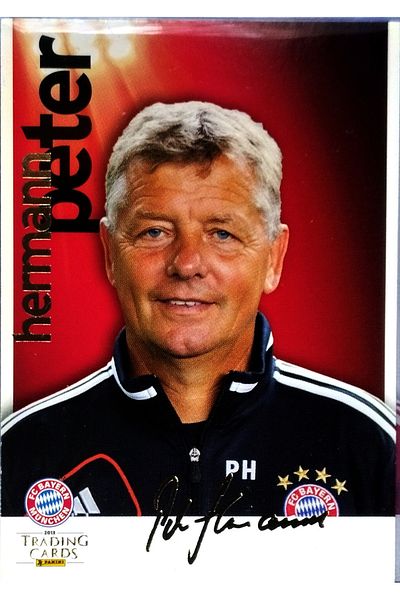 Panini Peter Hermann 2013 Special Edition Card