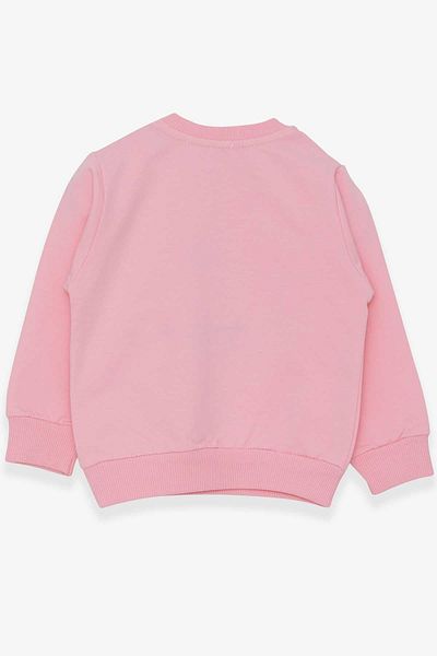 Breeze Girl's Br Sweatshirt Embroidered Sequin Powder Mody (1-4 YEARS)