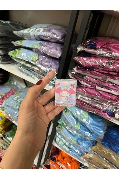 BALON HOME Sanrio Mini Sticker Notebook with Various Color and Model Options.