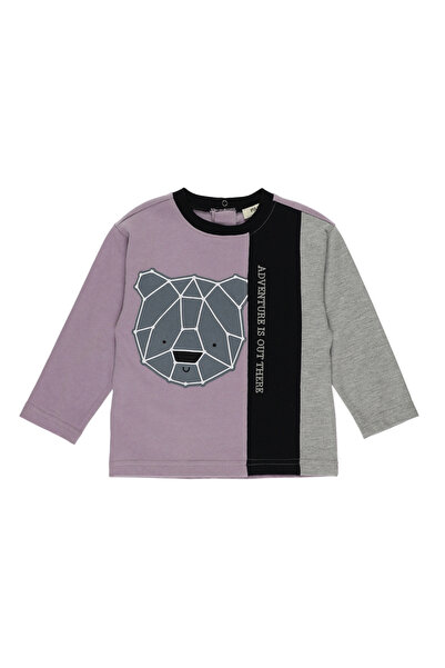 Panço Erkek Bebek Uzun Kollu Blok Barçalı Lila Tişört