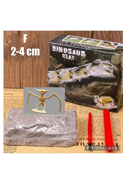 AZİZ OYUNCAK Archaeological Excavation Kit Pteronodon Dinosaur Fossil Science Educational Set 8X9Cm
