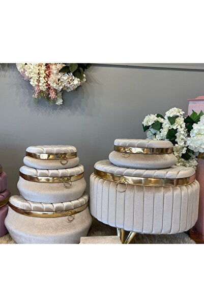 Benjamin Çeyiz D Çizgili Metalik Sandık Set Çeyiz Kolisi